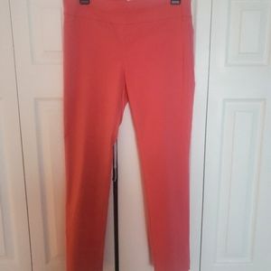 Joe B. Women's Pants